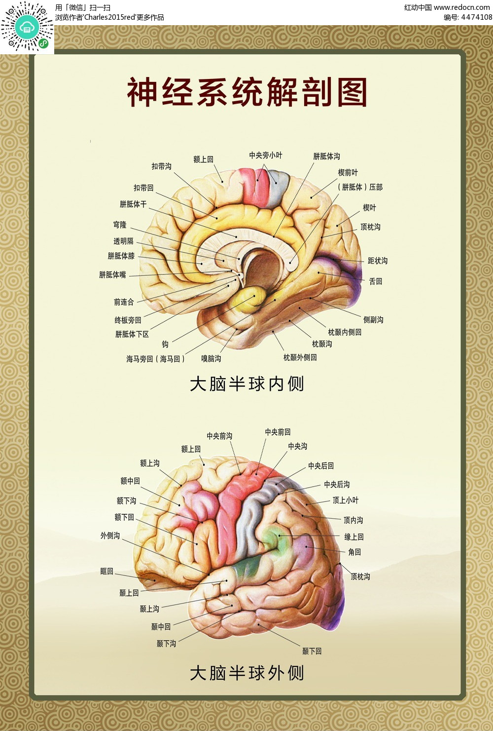 600图库大全免费资料图2024_最新答案解剖落实_尊贵版55.235.11.138