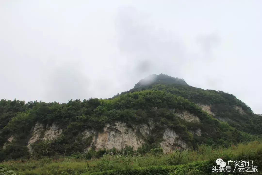 广安东南片区最新动态报道