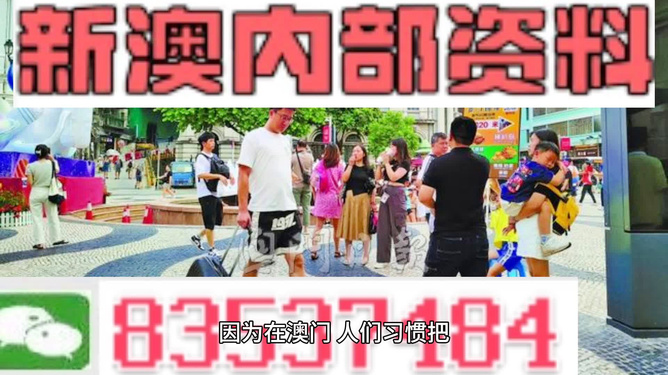 2024新澳精准资料大全,社会责任方案执行_专属版39.739