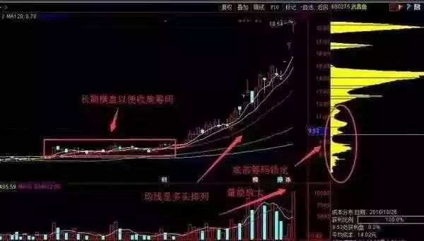 澳门今天晚上特马开什么,全面计划解析_Prime87.838