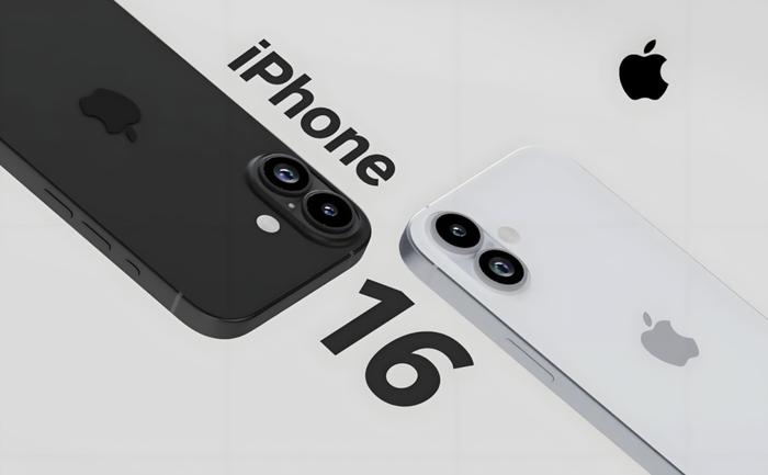 2024新奥正版资料免费提供,经典案例解释定义_iPhone42.40