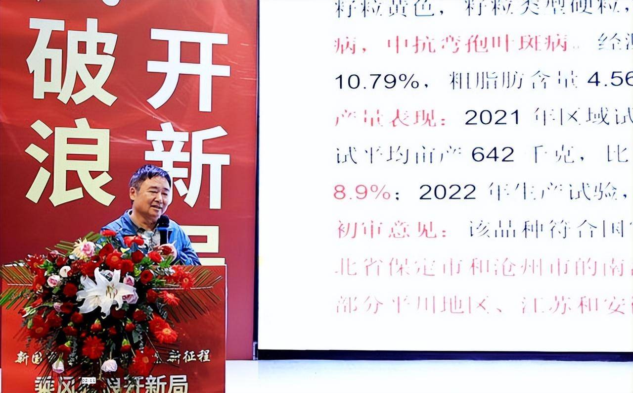 新澳2024今晚开奖结果,持久性方案解析_精装款28.819