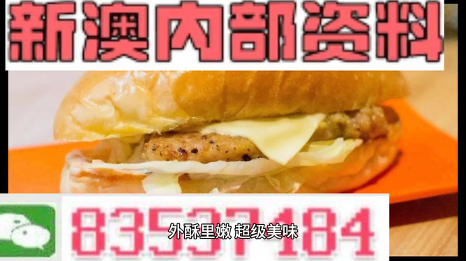 2024新澳精准资料大全,动态解析词汇_VR34.872