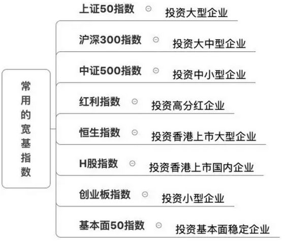 2024年正版资料免费大全功能介绍,决策资料解释定义_精英款88.884