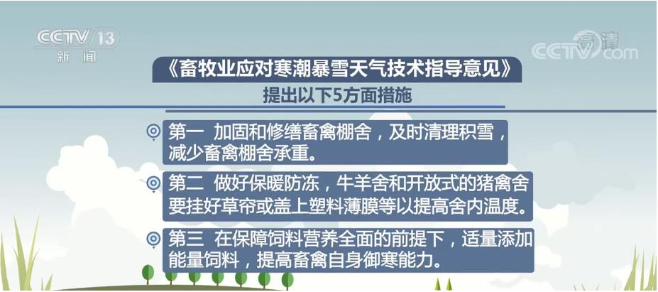 2024新澳门正版精准免费大全,专业建议指南解答_革新版34.358