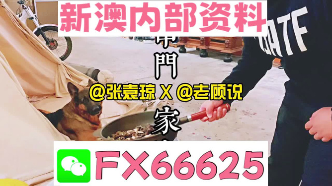 澳门管家婆免费资料查询_关注落实_时代资料_VS193.252.159.254