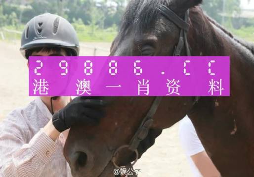 澳门今晚必中一肖一码准确9995,优雅解答解释落实_经典集44.377