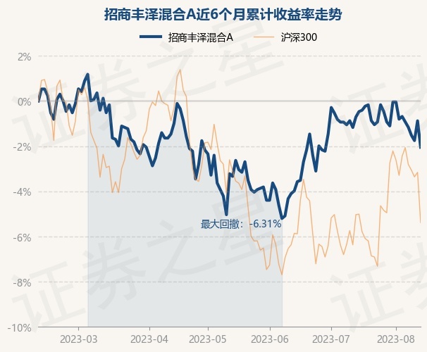 深度解析，900013最新净值报告