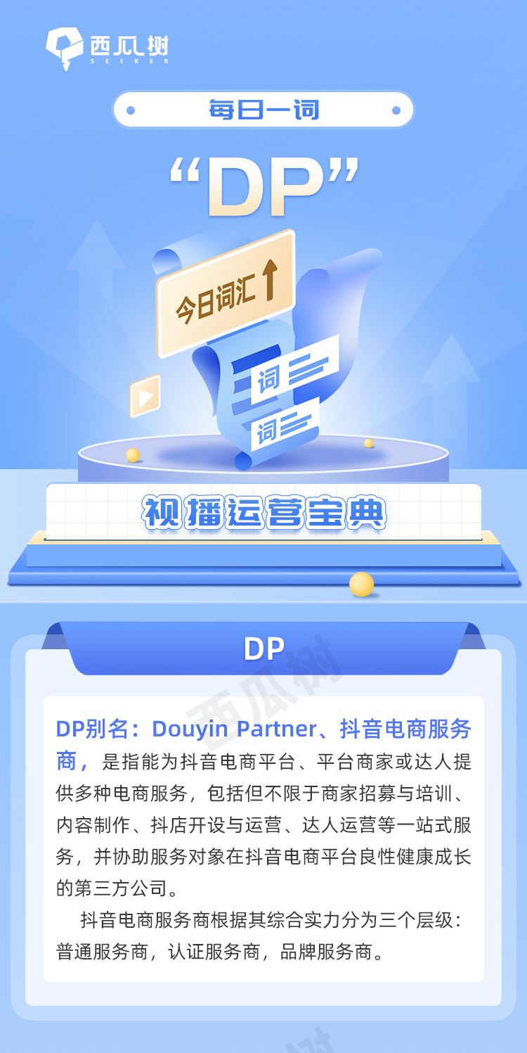 DP最新下载，数字世界的全新探索体验