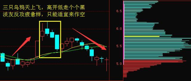 股票最新热点，市场趋势与投资机会探索