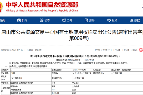 唐山最新拍卖揭示城市新动向与机遇