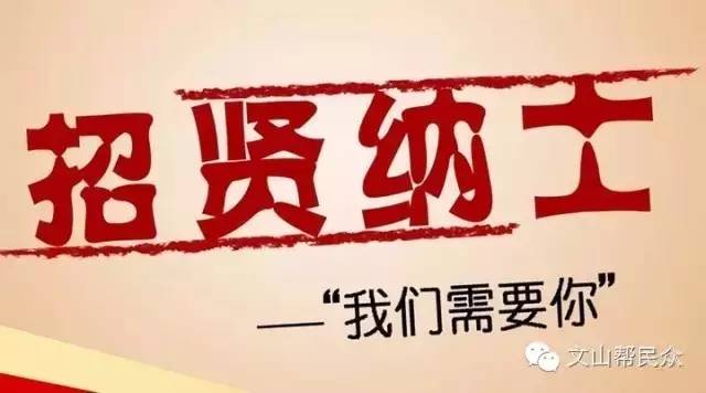 双桥招聘网最新招聘动态深度解析与解读