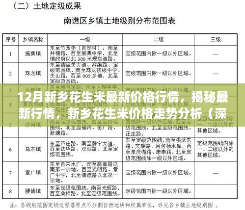 新乡花生米价格行情最新分析