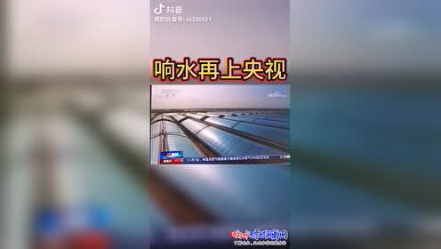 响水零距离最新全面消息解析