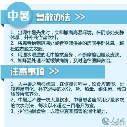 澳门今晚必开一肖一特,安全设计解析策略_P版94.713