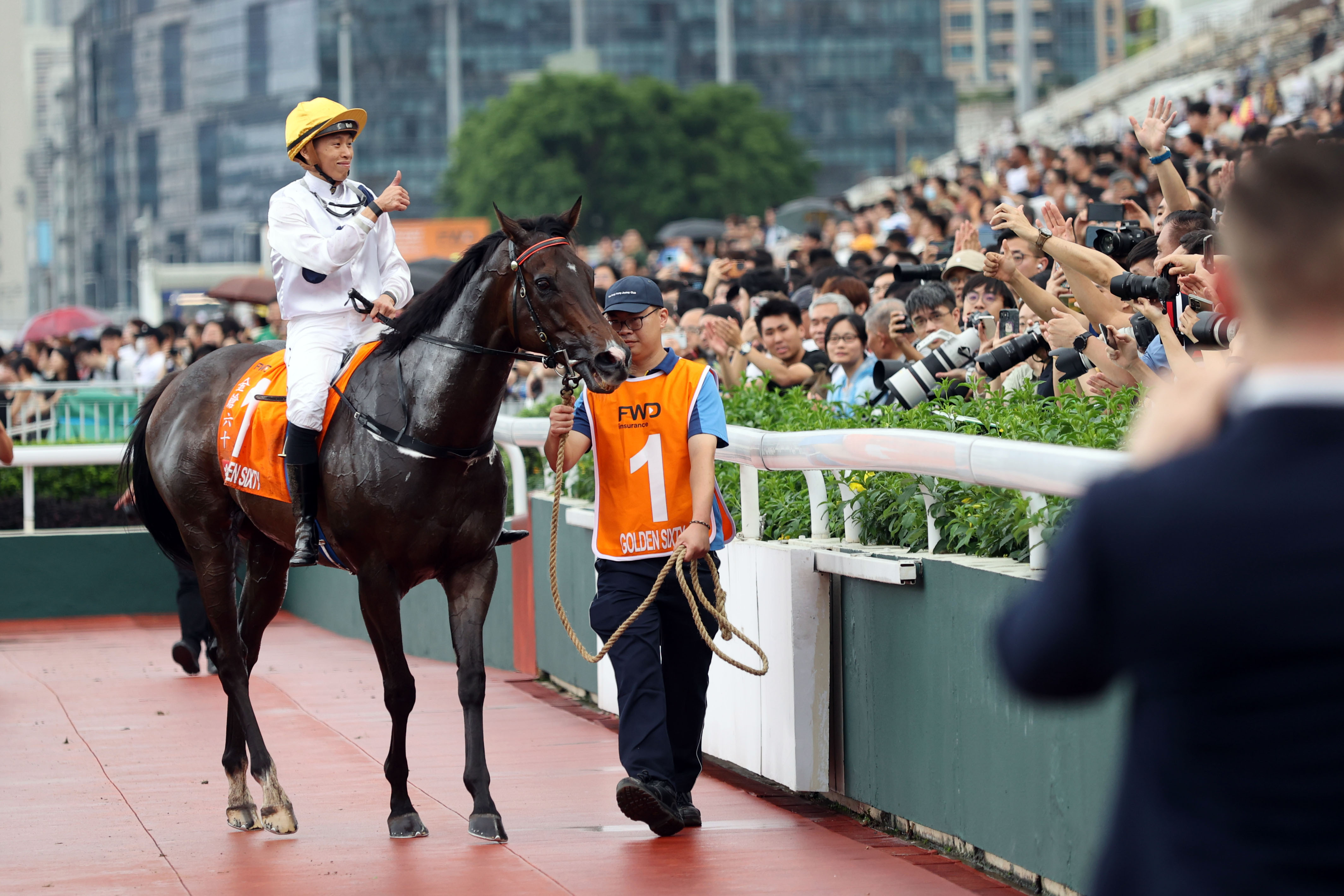 2024香港赛马全年免费资料,快速响应执行策略_Holo98.589