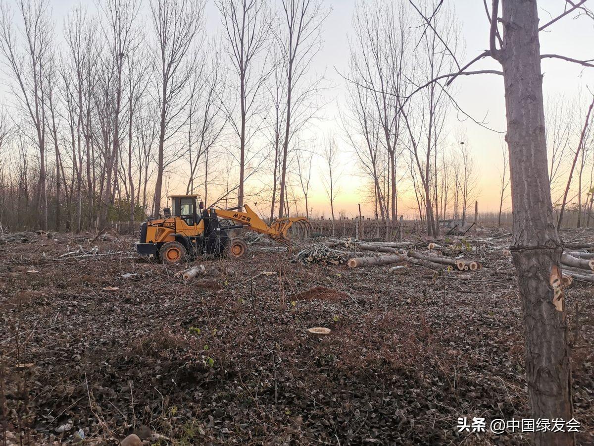 石家庄灵寿县最新事件概览，全面解析当地热点新闻与动态