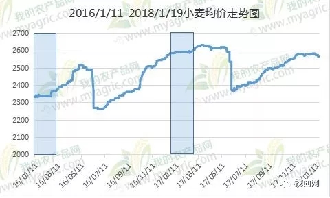 小麦价格走势预测，未来动态与市场洞察分析