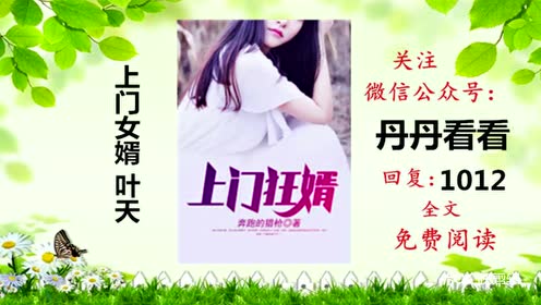 上门女婿小豌豆的新篇章