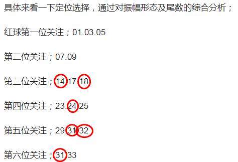 今晚新澳门开奖结果查询9+｜精选解释解析落实