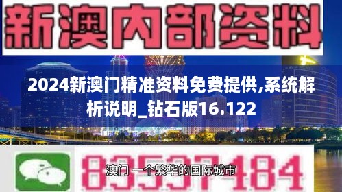 2024新澳门正版免费资料,动态说明解析_专家版76.201