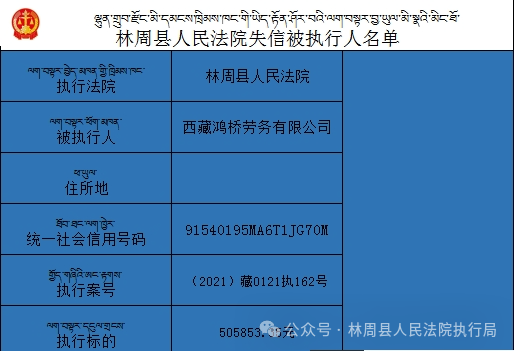 2024新澳精准资料免费提供下载,现状解答解释定义_冒险款95.110