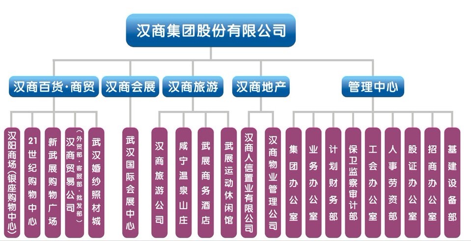 汉商集团最新消息全面解析与动态更新