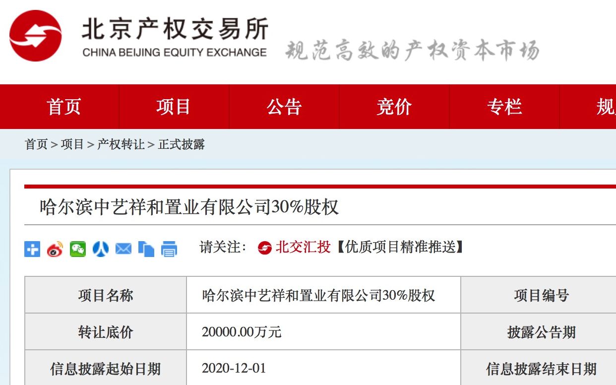 中艺财富最新动态，引领文化艺术产业蓬勃发展之路