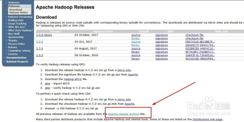 Hadoop最新版本探索与解析