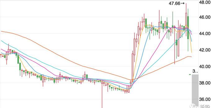 浪莎股份最新消息综述概览