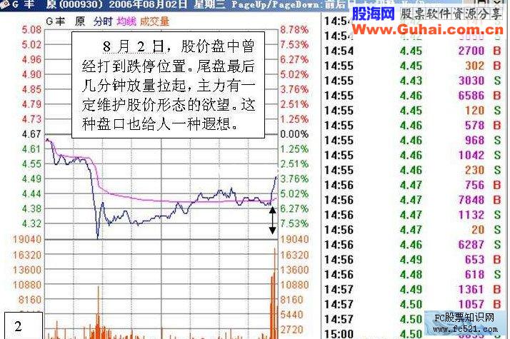 最新盘口动态解析与解读