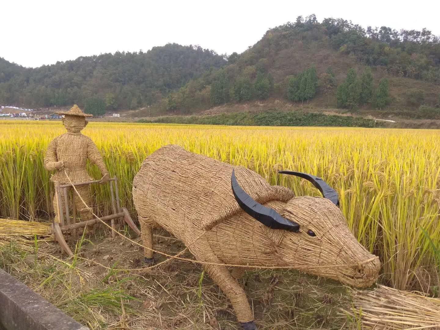 霸王的梦想最新破解版，探索与突破之旅