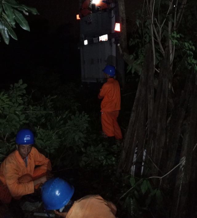 最新台风天鸽情况分析简报