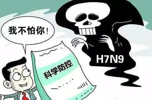 山东禽流感最新消息全面解析与更新动态