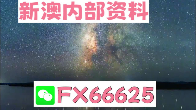 新澳天天彩免费资料大全的特点_决策资料核心解析94.100.90.66