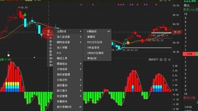 2024新澳门正版免费资料车,风险解析规避解答_钱包版65.376