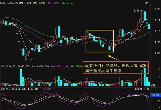 新能泰山引领绿色能源转型，塑造可持续发展未来最新动态