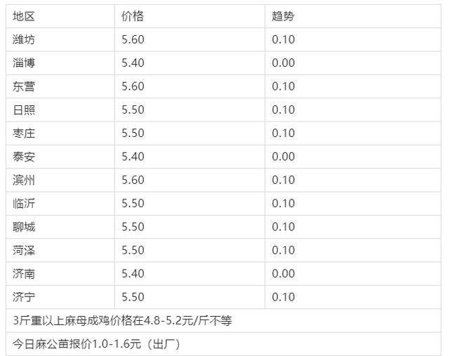 今日麻鸡最新价格，市场分析、趋势预测与行情展望