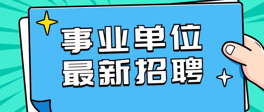 泗县招聘人才网最新招聘动态深度解析与求职指南