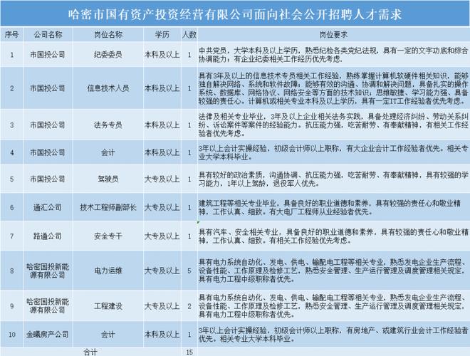 哈市招聘网最新招聘动态深度解析与指南